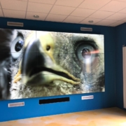 3x3 Videowall VVV Ameland