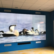 Videowall 3x3 VVV